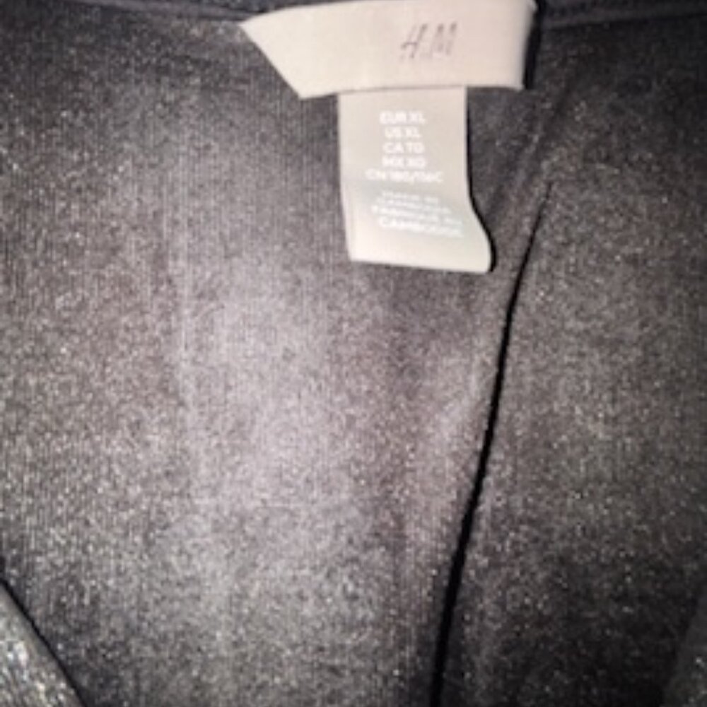 H&M, Metallic Blouse Bodysuit, XL - Picture 4 of 4